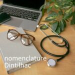Nomenclature Dintilhac